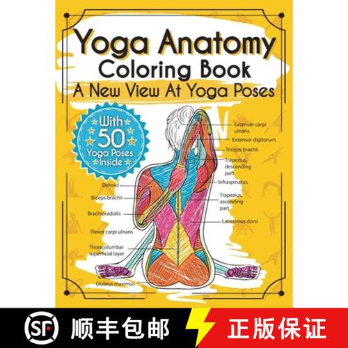 【3-4周达】Yoga Anatomy Coloring Book: A New View At Yoga Poses [9783969260043]