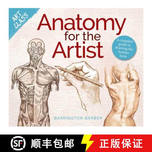 【3-4周达】Art Class: Anatomy for the Artist: A Complete Guide to Drawing the Human Form [9781398849006]