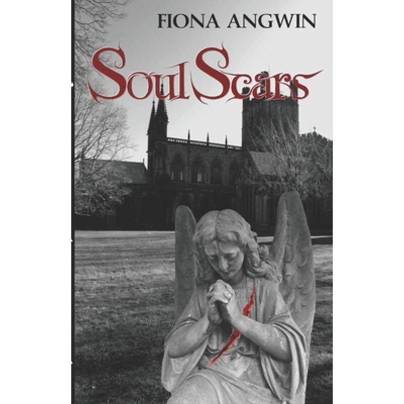 预订 soul-scars: a darkly comic tale of a. [9780956443694]