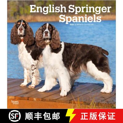 【3-4周达】English Springer Spaniels 2026 Square Flap Calendar [9798330703227]