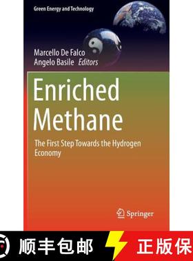 【3-4周达】Enriched Methane : The First Step Towards the Hydrogen Economy [9783319221915]