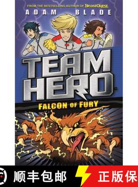 【3-4周达】Team Hero: Falcon of Fury: Series 2 Book 3 [9781408343630]