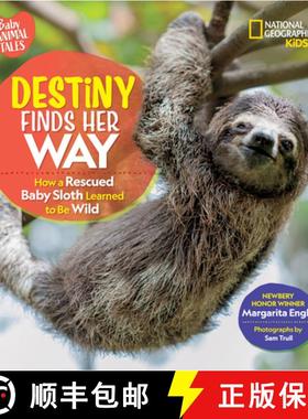 【3-4周达】Destiny Finds Her Way: How a Rescued Baby Sloth Learned to Be Wild [9781426372346]