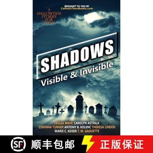 Shadows 9798985348521 Visible Invisible 预订