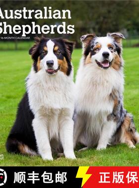 【3-4周达】Australian Shepherds 2026 12 X 24 Inch (Hanging) Monthly Square Wall Calendar Plastic-Free [9798330702220]