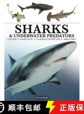 【3-4周达】Sharks & Underwater Predators [9781838864439]