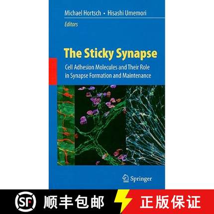 【3-4周达】The Sticky Synapse: Cell Adhesion Molecules and Their Role in Synapse Formation and Mainte... [9780387927077]