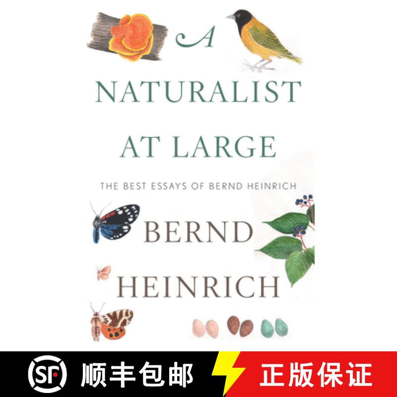 【3-4周达】Naturalist At Large: The Best Essays of Bernd Heinrich: The Best Essays of Bernd Heinrich [9780544986831]