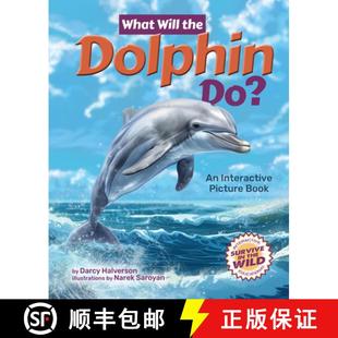 9781960084569 Dolphin Interactive Do? Book 4周达 What Will Picture the
