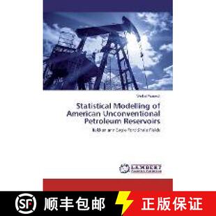 American 9783330010079 Statistical Reservoirs Modelling Petroleum 预订 Unconventional