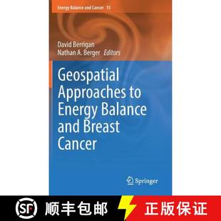 Breast 9783030184070 Geospatial Energy Balance 4周达 Approaches Cancer and