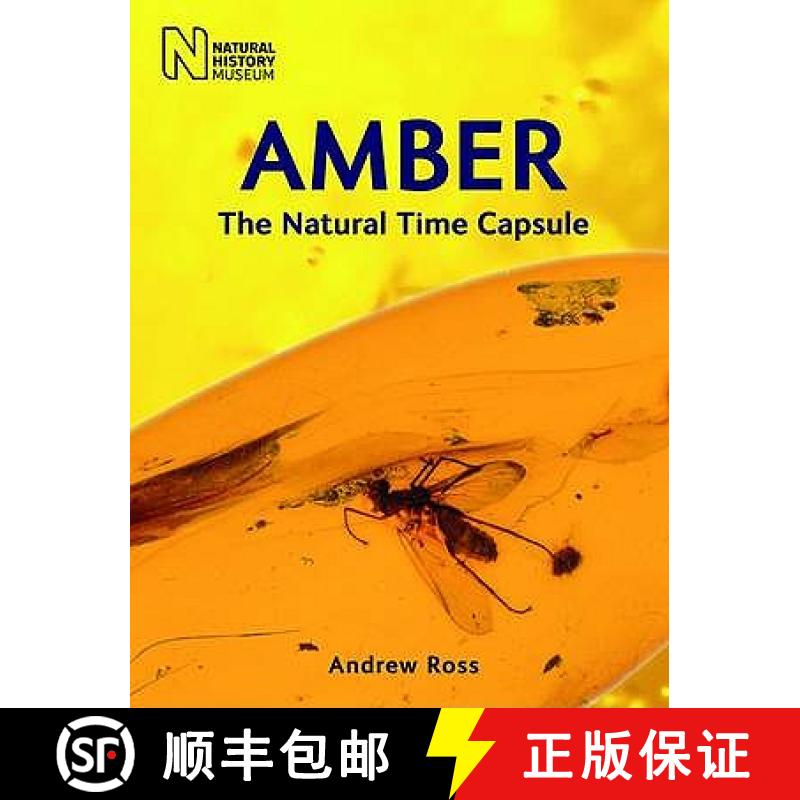 【3-4周达】Amber: The Natural Time Capsule [9780565092580]