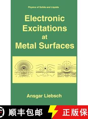 【3-4周达】Electronic Excitations at Metal Surfaces [9780306455452]