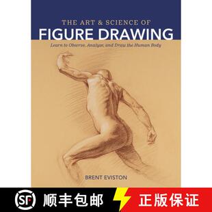 Draw Analyze Human and Figure Learn Observe Science 9798888140130 Body The 4周达 Art the Drawing
