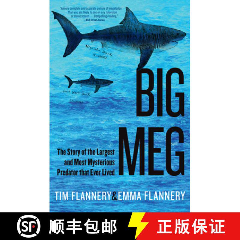 【3-4周达】Big Meg: The Story of the Largest and Most Mysterious Predator That Ever Lived [9780802162588]