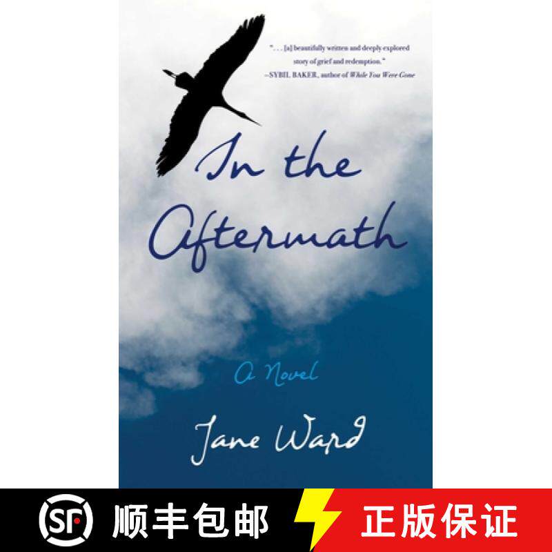 【3-4周达】In the Aftermath : A Novel [9781647421939]