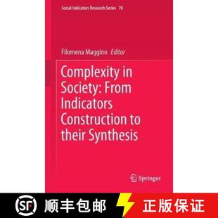 9783319605937 From Construction Indicators Synthesis 4周达 Complexity Their Society