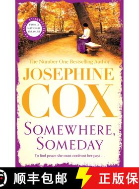 【3-4周达】Somewhere, Someday: Sometimes the past must be confronted [9781035409273]
