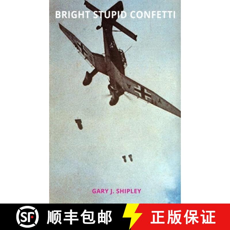 预订 Bright Stupid Confetti [9781948687614]