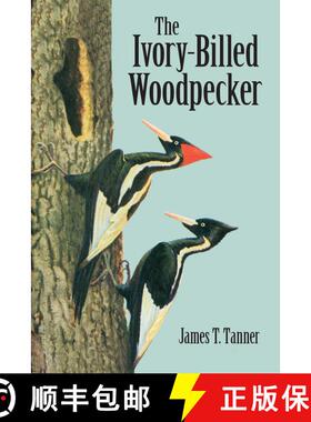 预订 The Ivory-Billed Woodpecker [9780486428376]