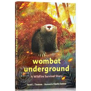 现货地下袋熊：一段野火中的幸存故事 Wombat Underground: A Wildfire Survival Story[9780316707060]