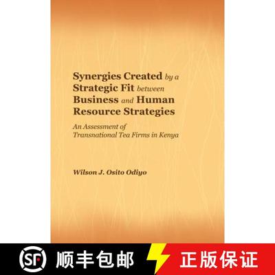 预订 Synergies Created by a Strategic Fit Between Business and Human Resource Strategies: An Assessme... [9781443848435]