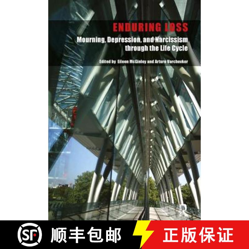 【3-4周达】Enduring Loss: Mourning, Depression and Narcissism Throughout the Life Cycle [9781855756922]