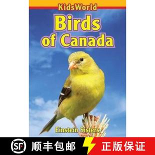 Canada 4周达 9780994006929 Birds