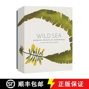 Wild 9781616896829 Envelopes 4周达 Superfolk Notecards Sea and Seaweed Prints