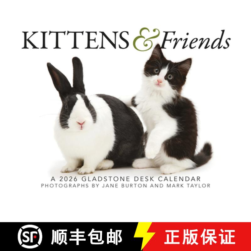 【3-4周达】Kittens Friends Box Calendar 2026 [9781529847475]