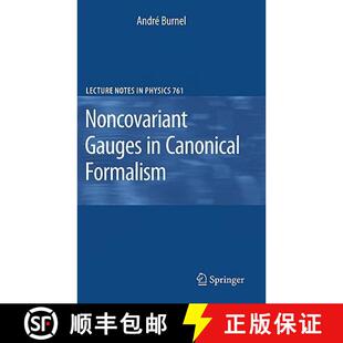 Noncovariant Gauges Formalism 4周达 Canonical 9783540699200