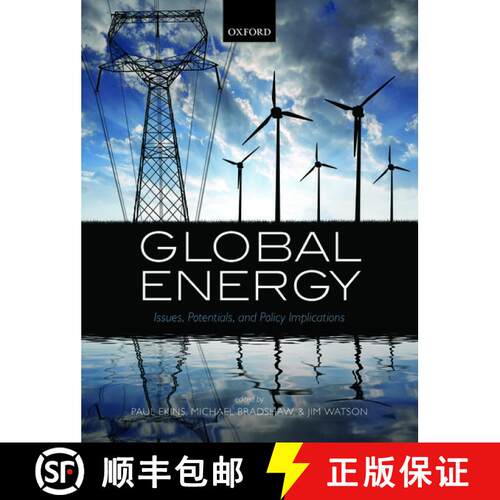 【3-4周达】Global Energy: Issues, Potentials, and Policy Implications [9780198719533]