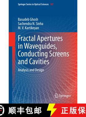 【3-4周达】Fractal Apertures in Waveguides, Conducting Screens and Cavities : Analysis and Design [9783319065342]