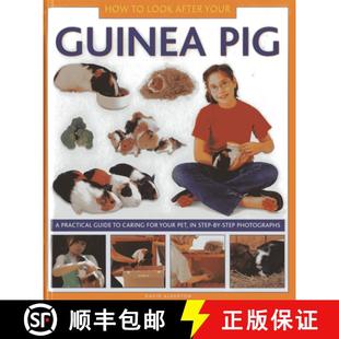 Caring for 9781843227687 Pig Guinea How Practical Pet Your Guide After St... Step 3周达 Look