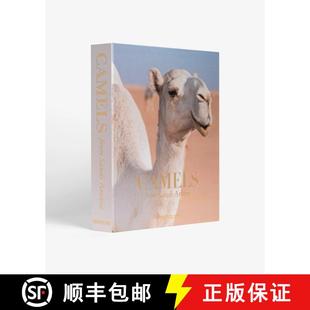 Camels 4周达 from Saudi 9781649801760 Arabia