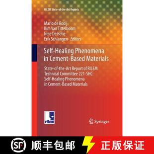 Based Art Materials State Healing 9789400799929 RILEM Technic... Self Phenomena Cement the Report 4周达