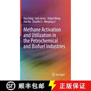 and the Industries Methane Biofuel 4周达 9783030884239 Activation Petrochemical Utilization