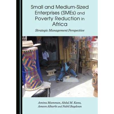 预订 Small and Medium-Sized Enterprises (SMEs) and Poverty Reduction in Africa : Strategic Management... [9781443872645]