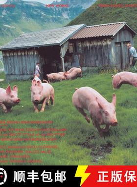 【3-4周达】147 Backcovers: Summer Fall Winter Spring: Anzeigen Galerie Bischofberger By Peter Fischli... [9783960983514]