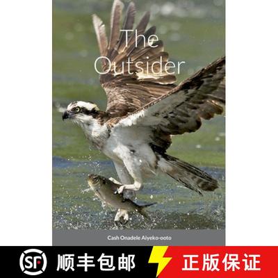 【2-3周达】The Outsider [9781387547746]
