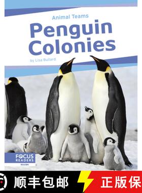 【3-4周达】Animal Teams: Penguin Colonies [9798889982494]