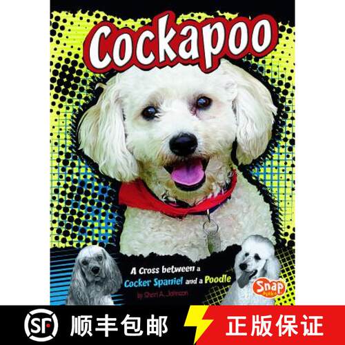 预订 精装 Cockapoo: A Cross Between a Cocker Spaniel and a Poodle [9781429677639]