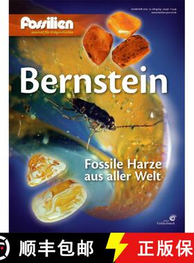 预订 Bernstein: Fossile Harze aus aller Welt [9783494015835]