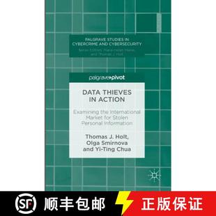 Stolen 4周达 Thieves Examining for Personal Market Data International the 9781137589033 Information Action