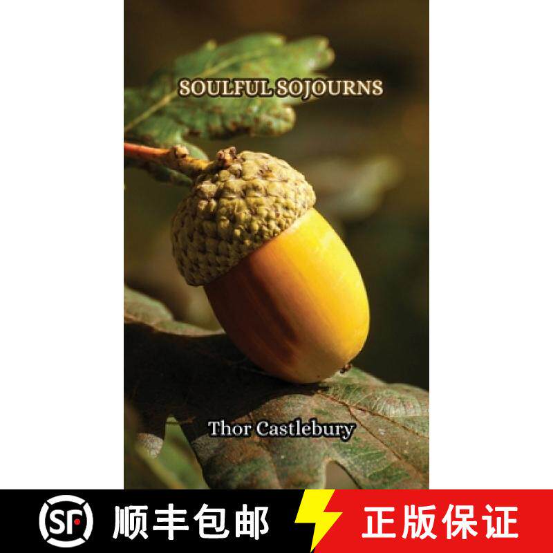 预订 Soulful Sojourns [9789916854822]