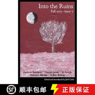 Into the Ruins 2017 4周达 Fall 9780997865653