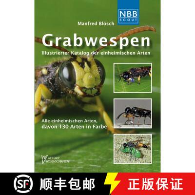 预订 Grabwespen: Illustrierter Katalog der Einheimischen Arten [Sphecoid Wasps: Illustrated Catalog o... [9783894322571]