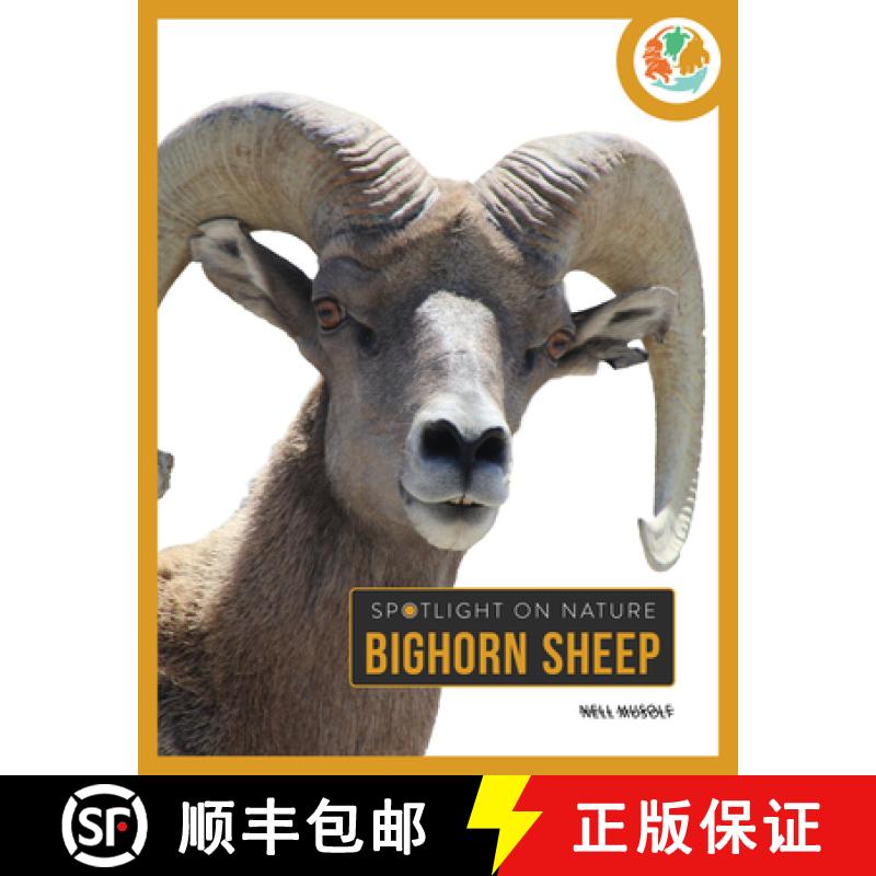 【3-4周达】Bighorn Sheep [9781682777848]
