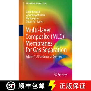 MLC Membranes Composite Multi Fundamental for Overview Separation Layer Volume 4周达 9783031864018 Gas