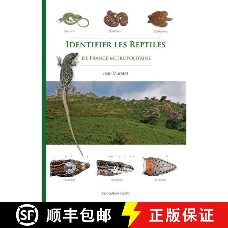 预订 Identifier les Reptiles de France Métropolitaine [Identifying Reptiles of Metropolitan France] [9782953115116]